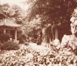 八十年代医院在荔湾涌建成的小花园