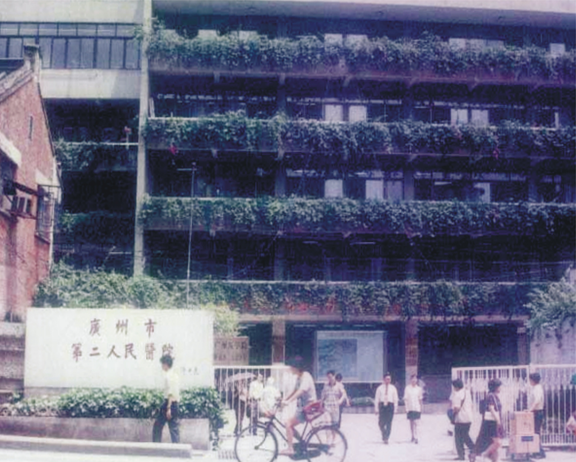 广州医科大学附属第三医院